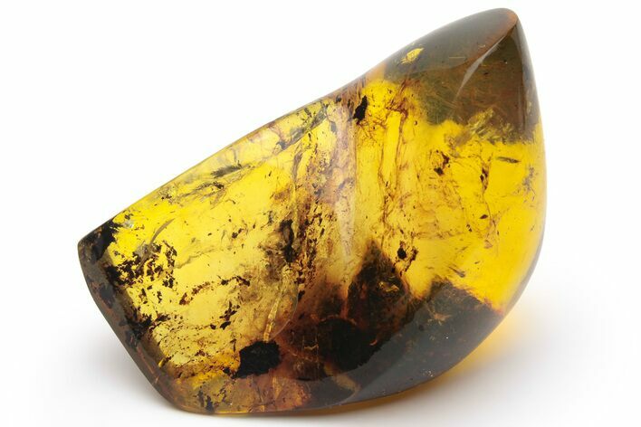 Polished Chiapas Amber ( g) - Mexico #237444